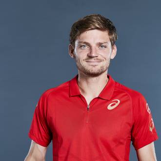 David Goffin